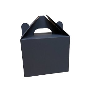 200mm x 160mm x165mm (CODE DCP2BK Pack of 10)