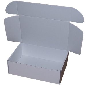 310mm x 220mm x 100mm (Code PL2 Pack of 10)