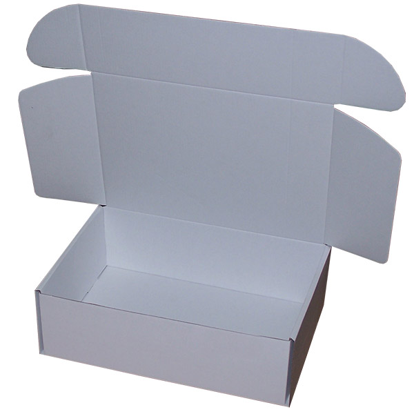310mm x 220mm x 100mm (Code PL2 Pack of 20) – Boxshop
