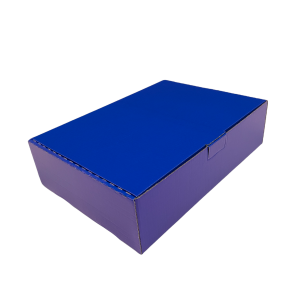 280mm x 200mm x 70mm (Code 539 Blue Pack of 10)