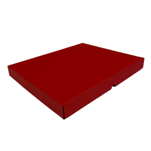 350mm x 305mm x 40mm (Code 554 Red Pack of 10)