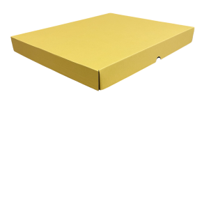 350mm x 305mm x 40mm (Code 554 Yellow Pack of 10)