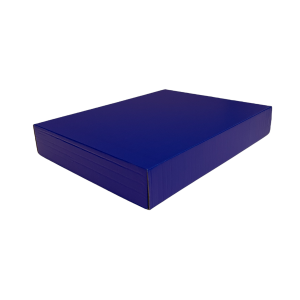 280mm x 210mm x 45mm (Code 656 Blue Pack of 10)