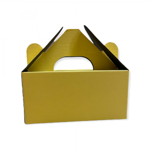 205mm x 120mm x 100mm (CODE DCP1 YELLOW Pack of 10)