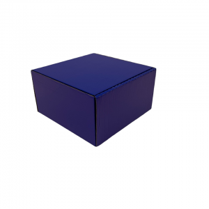 230mm x 230mm x 125mm (Code T10 Blue Pack of 10)